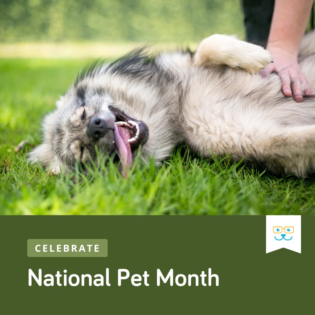 Cheers to National Pet Month! Let's celebrate the unconditional love, companionship, and joy that our furry friends bring into our lives every day. Whether you have a cat, dog, bird, or any other type of pet, they truly make life better. Don't forget to give your pet an extra ... https://t.co/93Flpp6lky