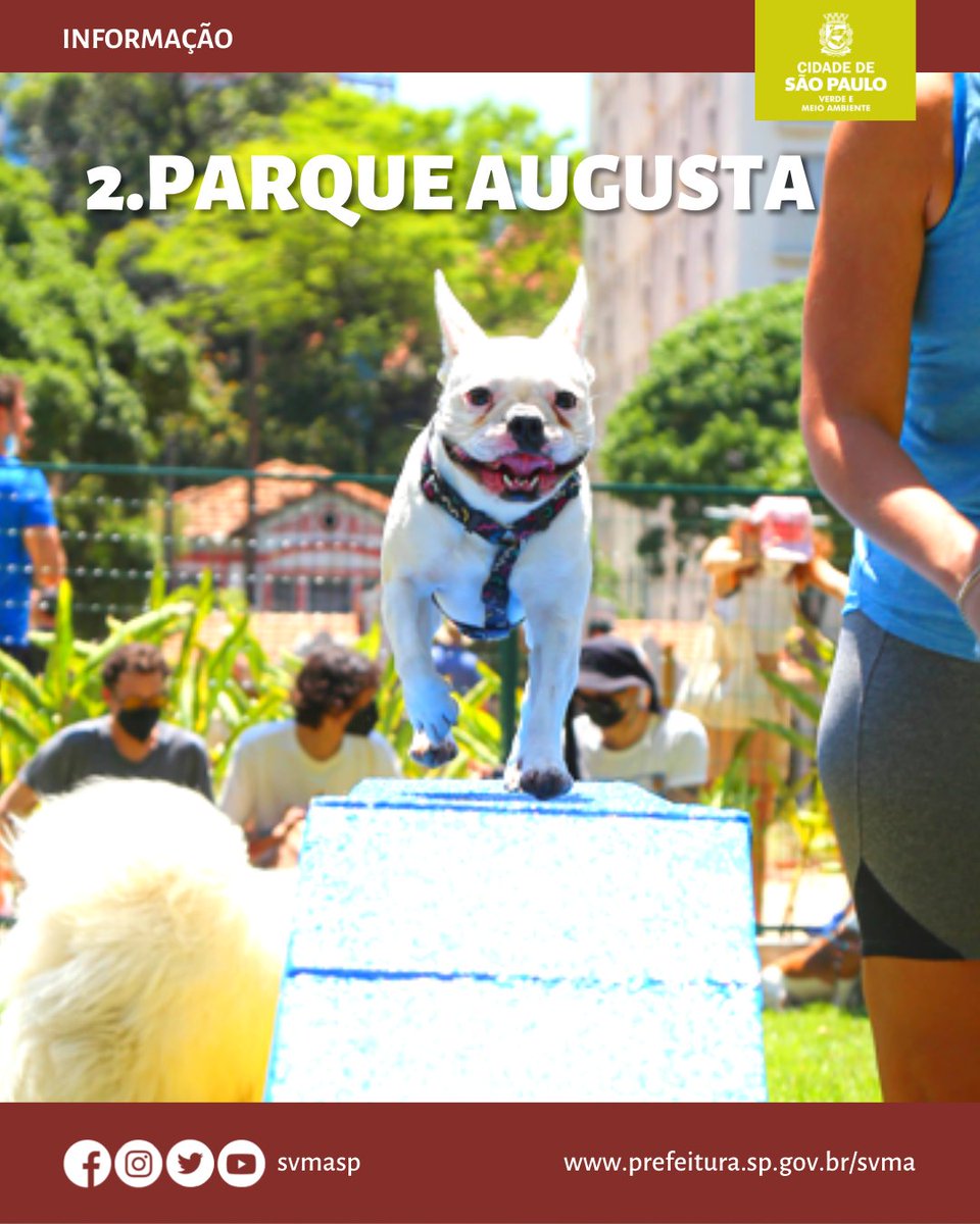 svmasp's tweet photo. Você sabia que a nossa cidade possui quatro parques municipais com cachorródromo?
Não perca tempo e venha logo curtir um passeio com seu cão, afinal ele também merece um pouquinho de lazer, não é? 🐶😉
svma #cachorro #cachorrodromo #parquessp #meioambiente #natureza https://t.co/p6JApLgSCr