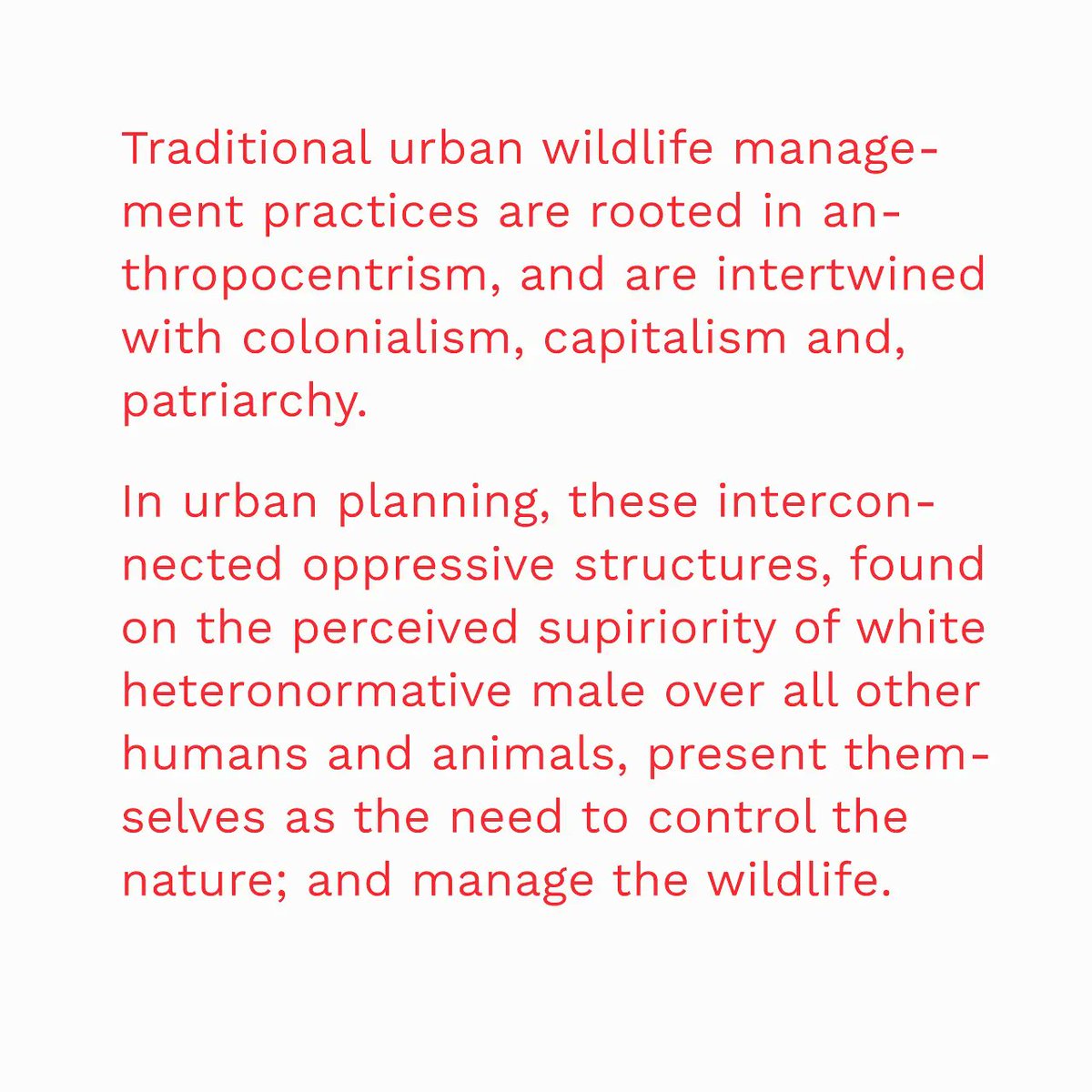 TypeChronicles's tweet photo. A labor of love :) MDes Inclusive Design. Final paper submitted @OCAD 
🍄Enjoy a couple of random blurbs from it. Full paper here: https://t.co/fRPxiOAOv2 

Big thank you to my amazing and kind advisors @YorkPsyc and @juttatrevira

#UrbanWildlife #ecocentrism #Opossums https://t.co/loBy4ax5jj