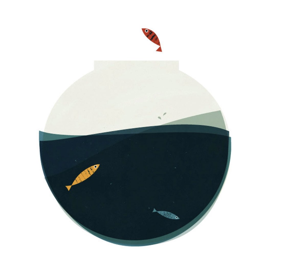 treeandtherock's tweet photo. Another amazing Spanish artist Blanca Gomez @blanca___gomez. We love the charming animals.

#seagullartwork #spanishartist #elephantart #boysdecor #girlsdecor #fishbowlart #kidsroomart #animalart https://t.co/GC5M7WrCOJ