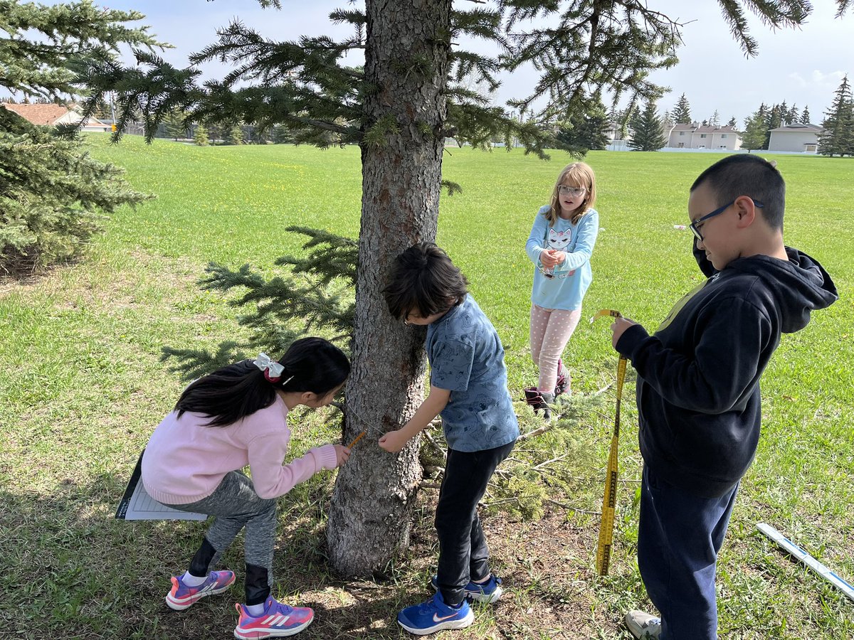 StJude_CCSD's tweet photo. @StJude_CCSD 3/2 students learning about measurement outside. @CCSD_edu @shellgmath @XBiffert #educateoutside #naturebasedlearninng https://t.co/KJe5opBFbC