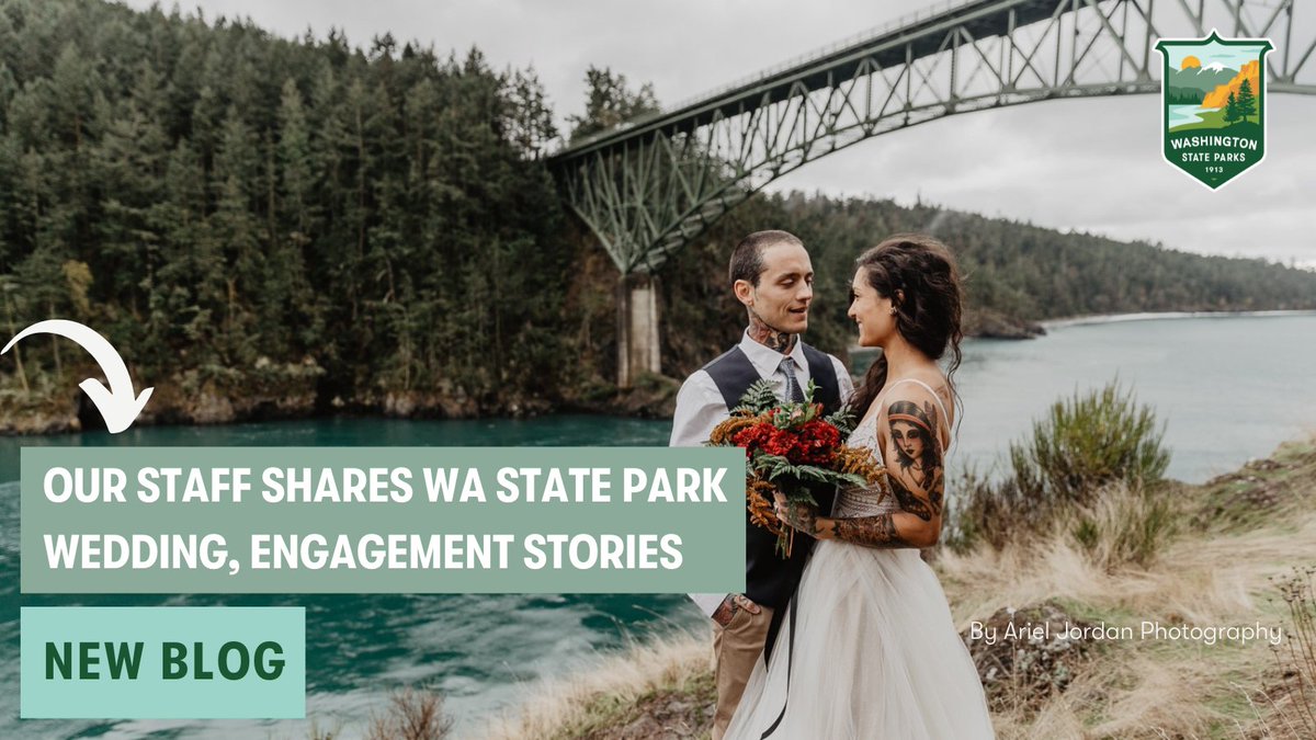 WAStatePks's tweet photo. “Let's get married at work!” Said no one, ever. Well, we heard from colleagues who wed in #WAStateParks and had a blast. Take inspo from their stories in our newest blog, and plan your own state park wedding! https://t.co/QQYto15D66 📷 Ariel Jordan Photography https://t.co/wiqgv3q5R8