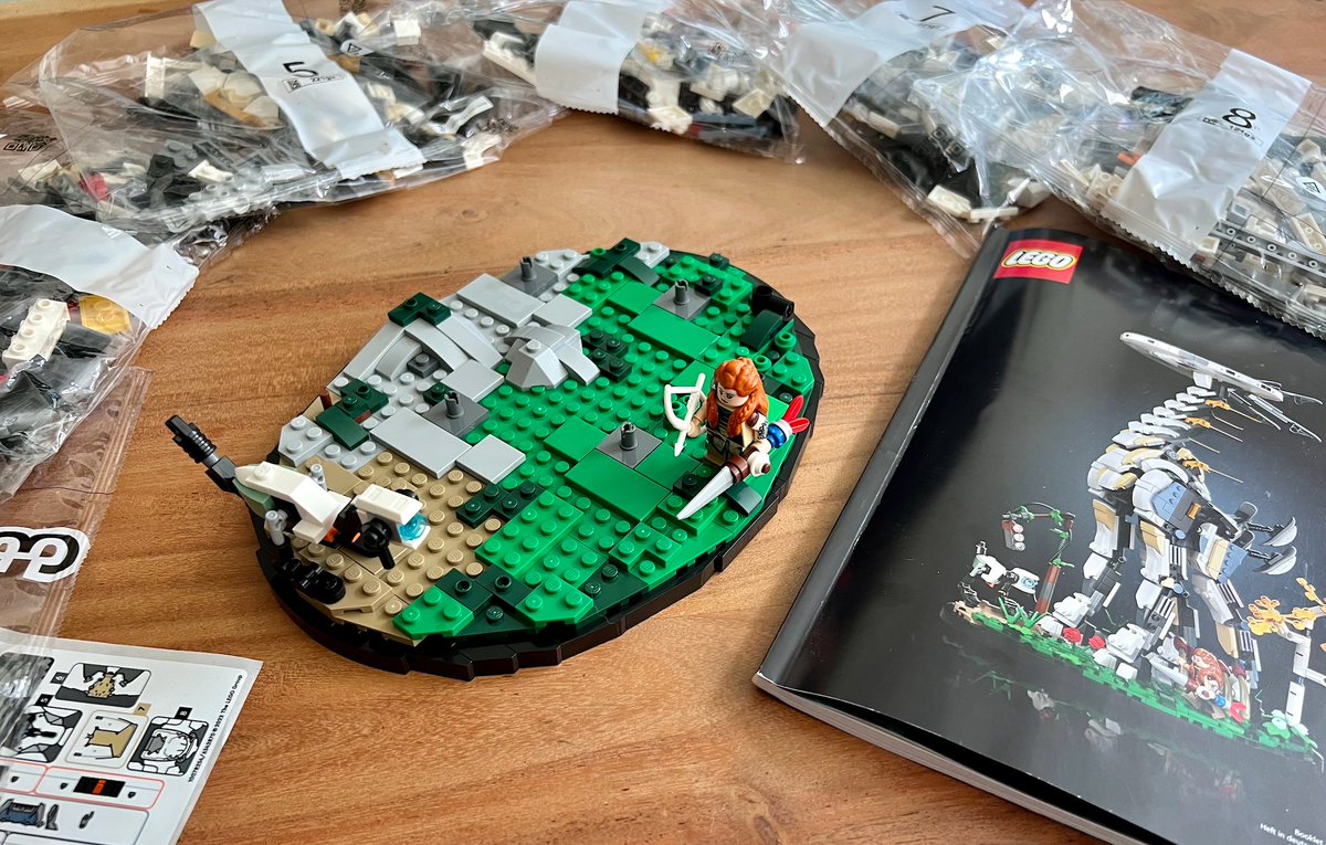 Building LEGO in the afternoon like an adult