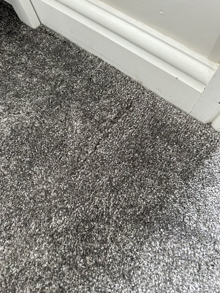 thebeatsareon's tweet photo. @scssofas new carpet fitted 6 days ago and it’s an absolute mess already, it’s started lifting and i have noticed they’ve put a massive slice in the carpet and glued it back down hoping we wouldn’t notice. Absolute shambles! https://t.co/ZxhkPUGM9T