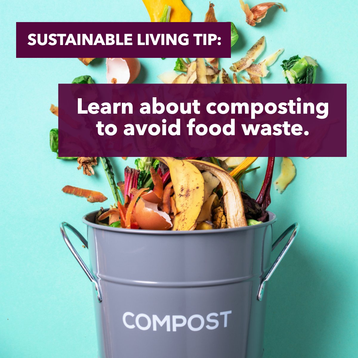 Have you tried composting? Tell me your experience in the comments! 💭

#sustainablelifestyle    #sustainable    #sustainablity    #composting