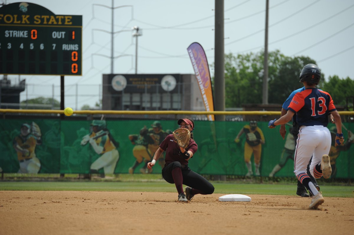 Hawk Softball 🥎 tweet media