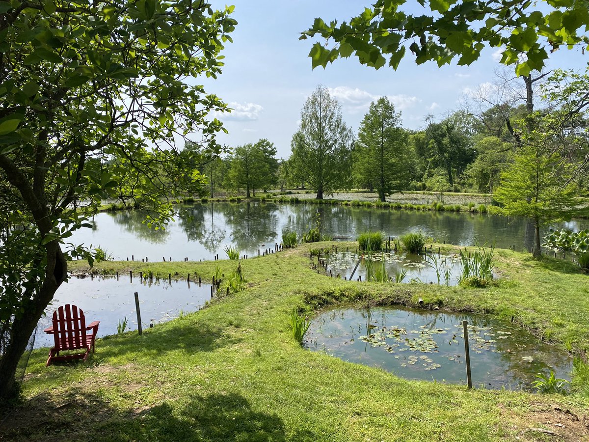 ElanaMintz202's tweet image. I needed to make a quick stop to drop off/pick up supplies at the office. 
The office: 

@KenAqGardens 
#MagicalPlaces #Ward7 #ThisIsOutdoorLearning #OutdoorEducation #Nonprofits