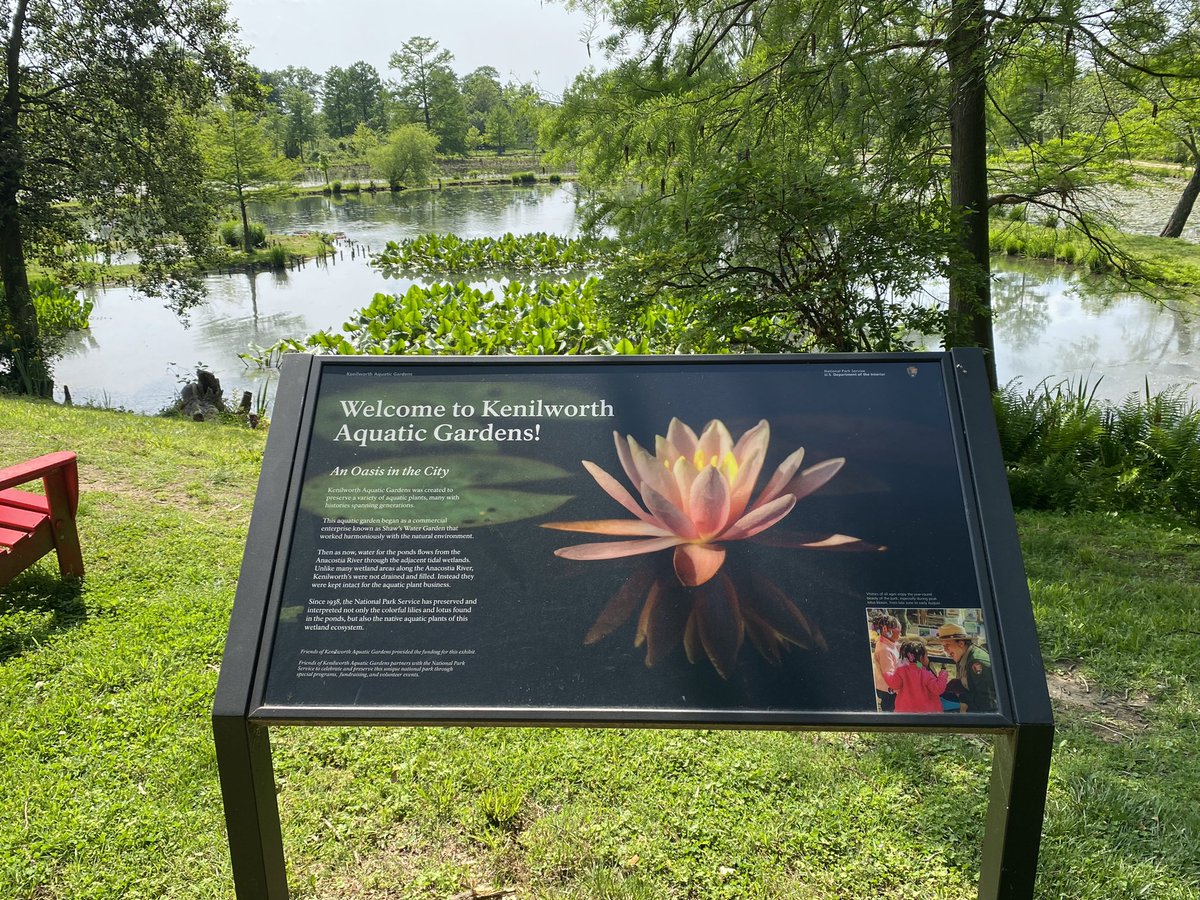 ElanaMintz202's tweet image. I needed to make a quick stop to drop off/pick up supplies at the office. 
The office: 

@KenAqGardens 
#MagicalPlaces #Ward7 #ThisIsOutdoorLearning #OutdoorEducation #Nonprofits