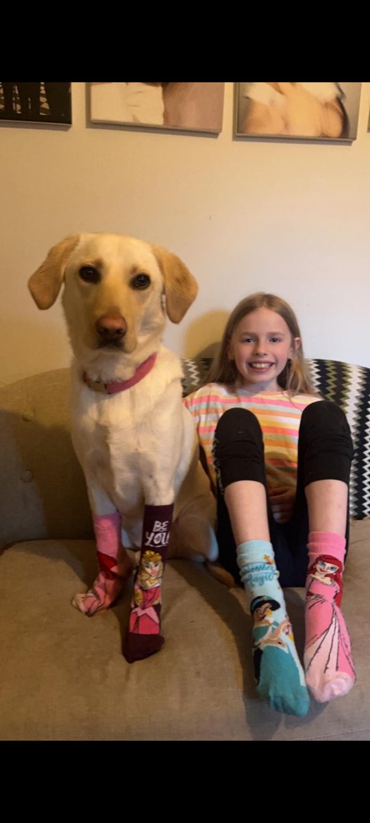 St. Canice's tweet media