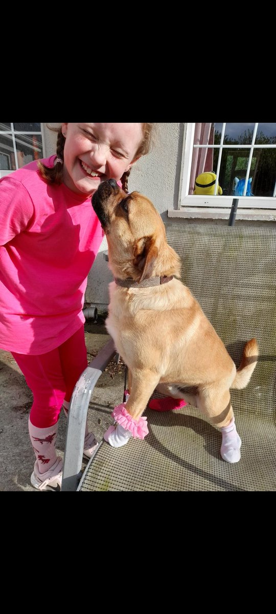 St. Canice's tweet media