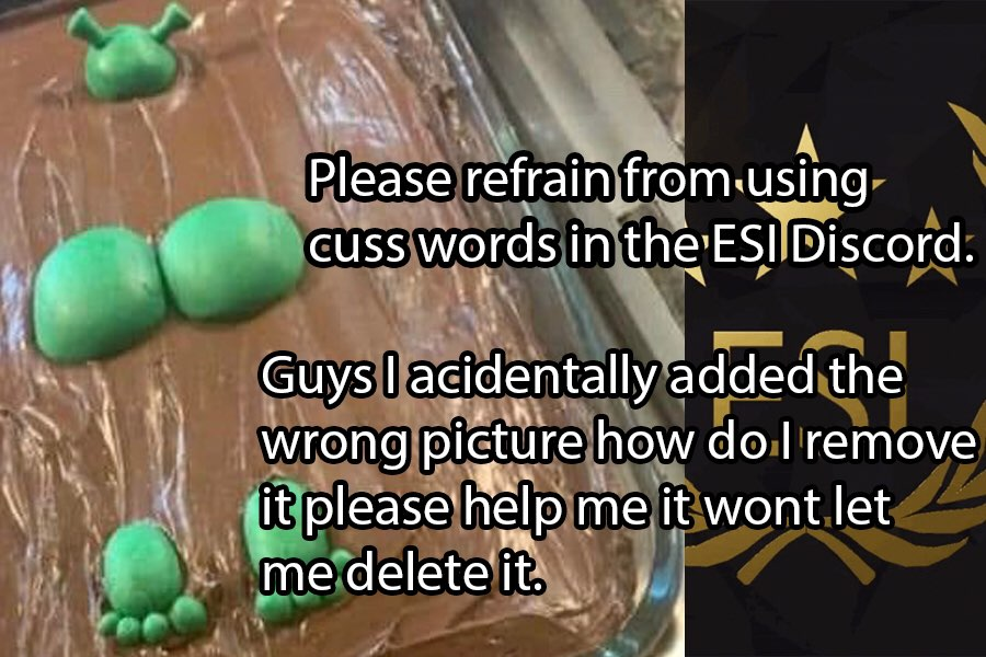 Engineer Studios tweet media