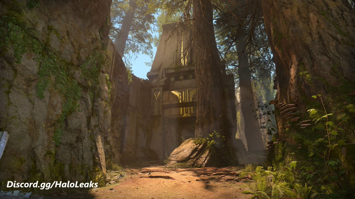 Halo Leaks tweet media