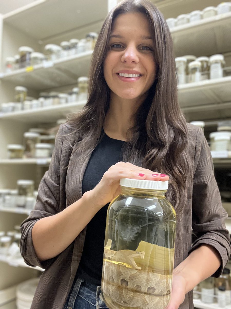 Congrats to @PseudohajeSci for her recent appointment as Research Adjunct w/ @NaturalSciences! The appointment provides Dr. Kuhn w/ collaboration opportunities & even greater access to the herpetology collections/resources of NCMNS, while she leads & builds the VMNH herp program!