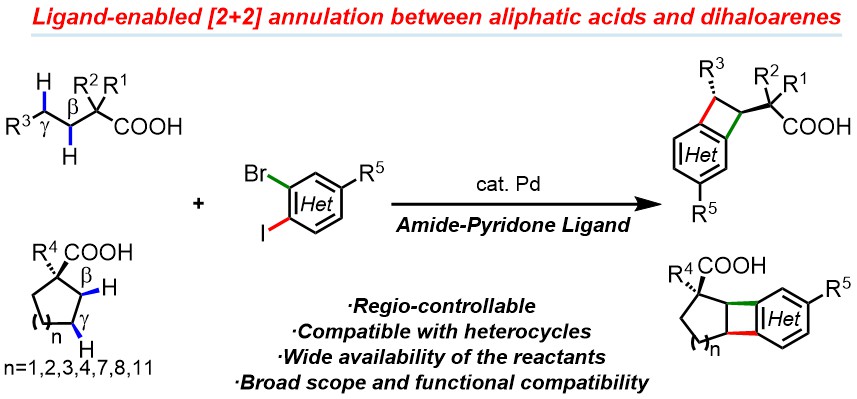 Alternative [2+2] for BCB scaffold via two sp3 CH and two ArX bonds, not starting from pi orbitals. Ligand innovation is the key:
science.org/doi/10.1126/sc…