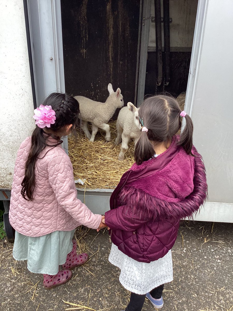 Every Thursday afternoon we learn outside of the classroom. It might be in the forest, park or going down to the river. Today we had the best surprise walking past the farm! Can we keep them? 🐑🐑 #GetOutside #experiences #outdoorlearning