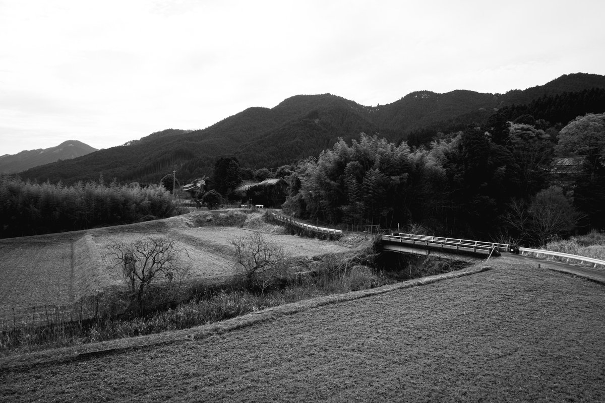 almightygenera1's tweet image. 