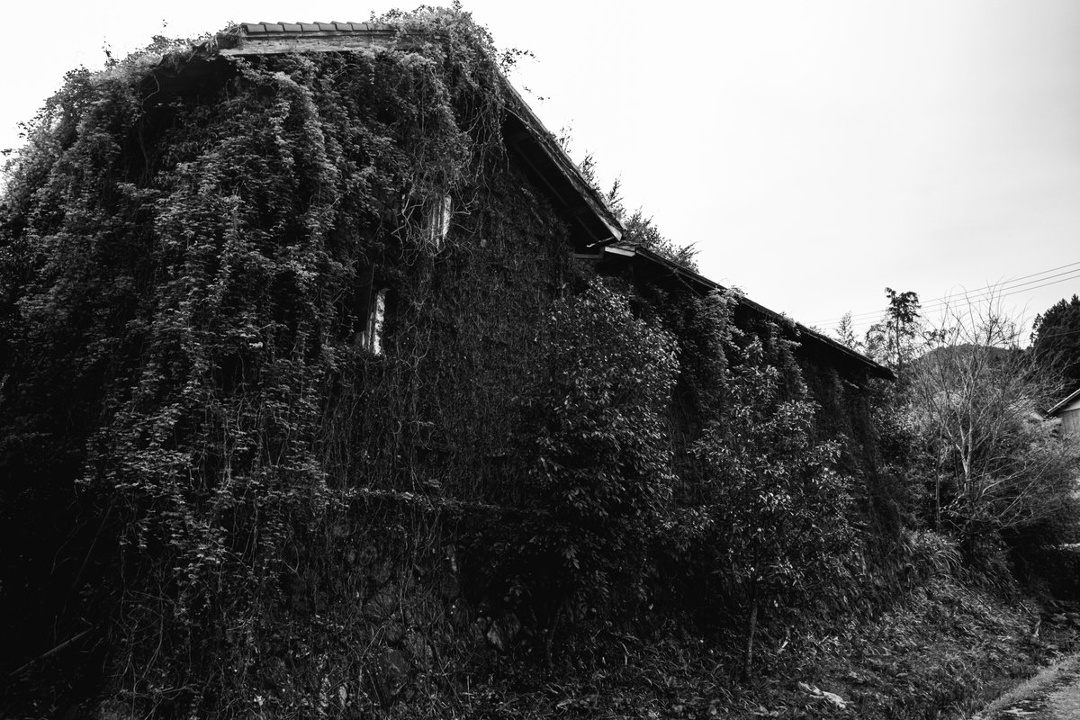 almightygenera1's tweet image. 