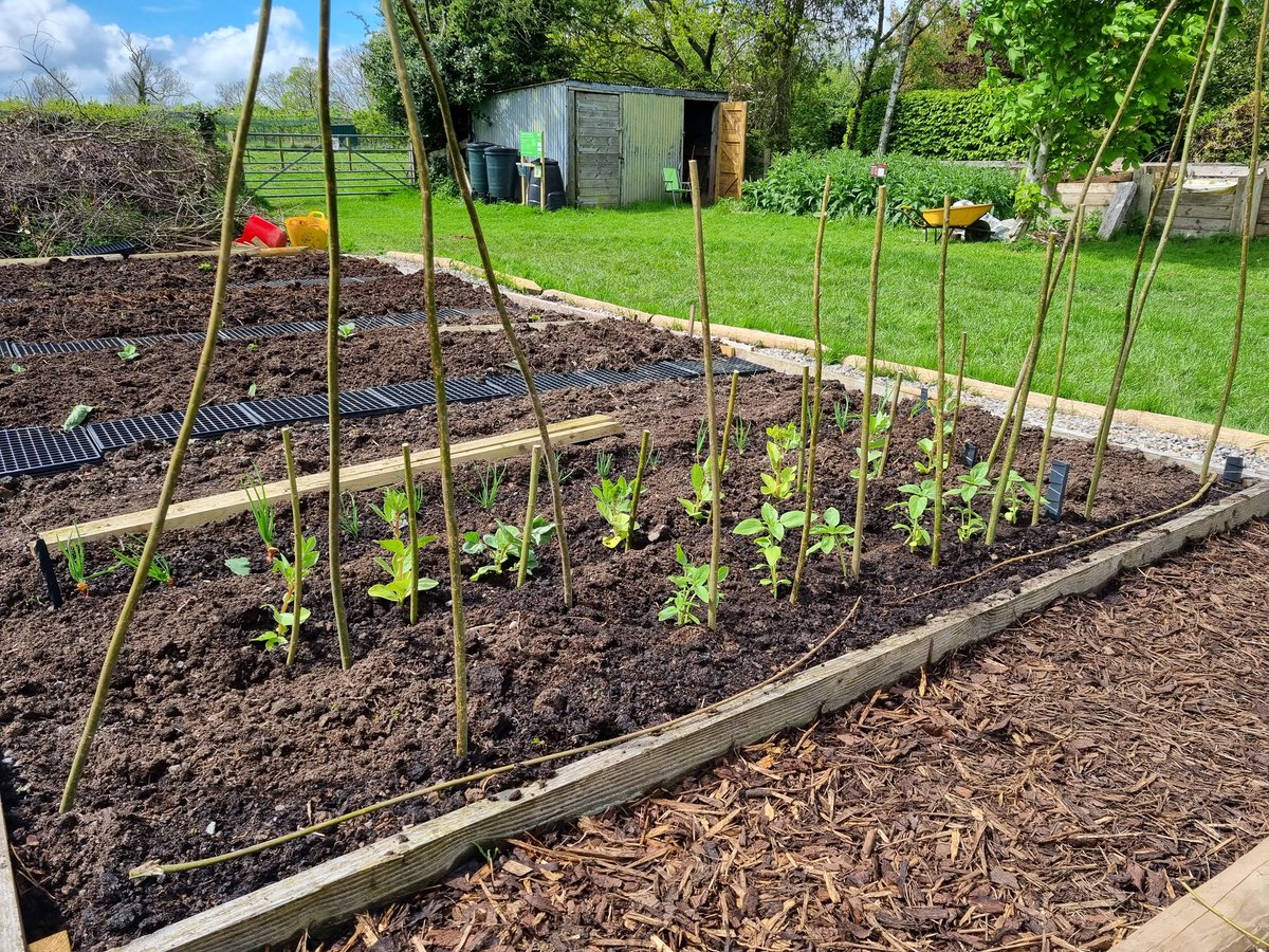 AdsmcgA's tweet image. The sta of our community veg plot at Gosling Sike garden @cumbriawildlife with great help from @gardenorganicuk training up our volunteers as Master Composters! #CompostHour #InternationalCompostAwarenessWeek #Composting #soilhealth