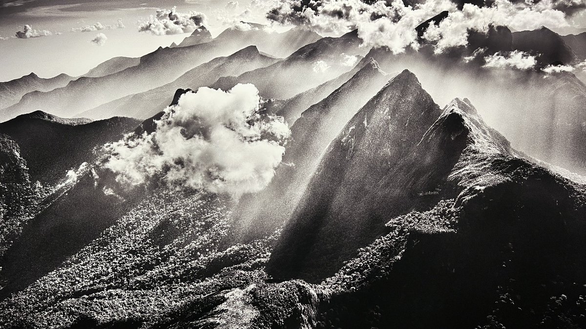 Veronica Giuffré tweet media