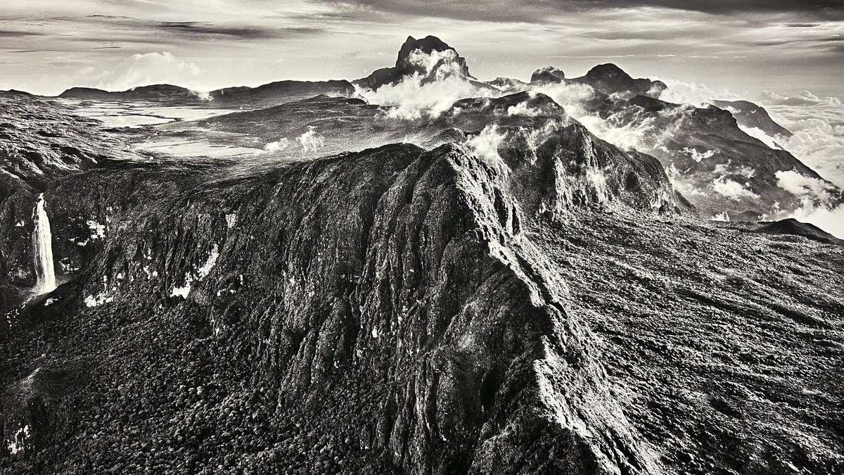 Veronica Giuffré tweet media