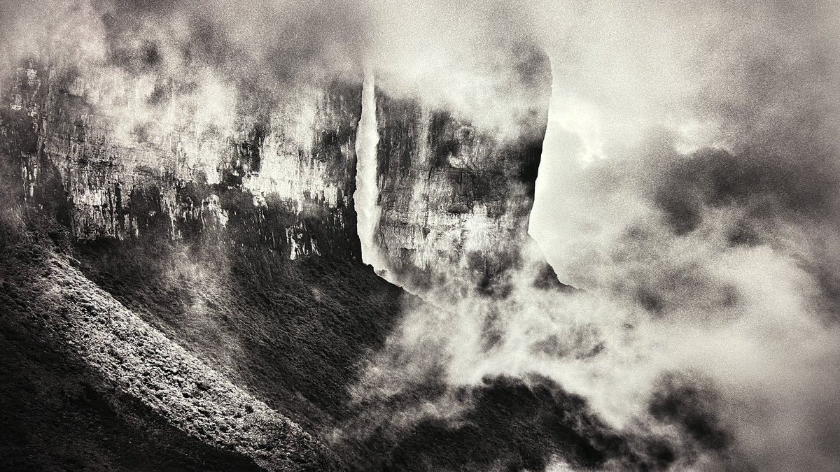 Veronica Giuffré tweet media