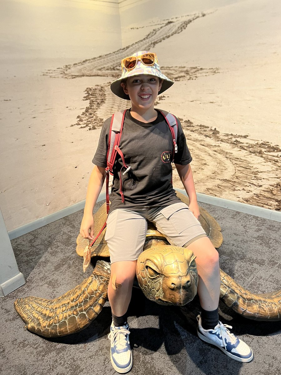 Victoria Stapleton tweet media