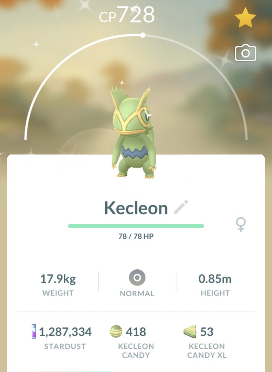 OneEyedCat78's tweet image. Finally I found my 10th Kecleon! And… it sparkled! 🥺🥰🫶✨

#PokemonGO #Kecleon