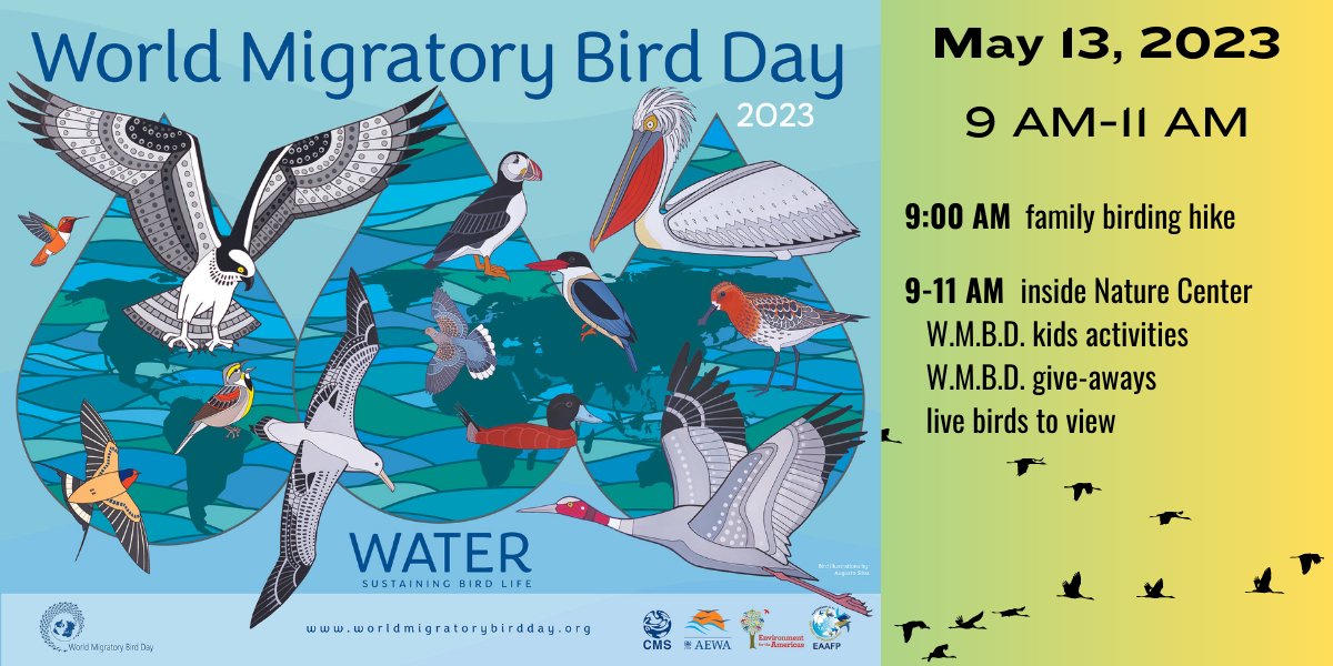 Free! Join us inside the Nature Center. #baybeachwildlifesanctuary #WMBD2023