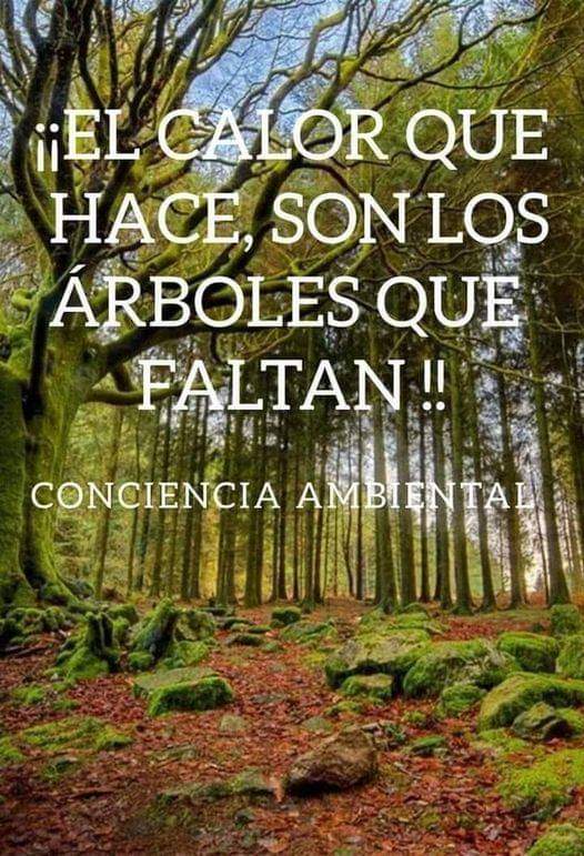 MGGR66's tweet photo. Conciencia 🌳🌱🍃 https://t.co/bwArTaesdi