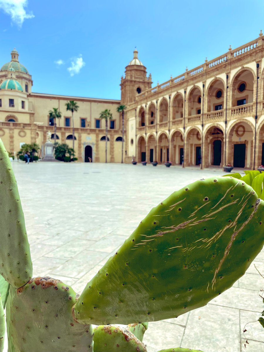 Ma quanto sei bella #Sicilia ? 🌵
#mazaradelvallo