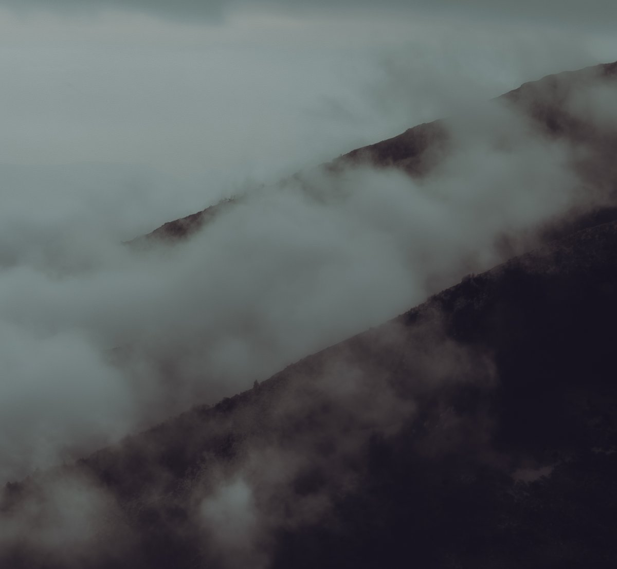 _____Julian__'s tweet photo. Foggy.

@Sigma_Japan @SigmaFrance @SonyAlpha 

#birds #foggy #rain https://t.co/pKiLlNP1SW