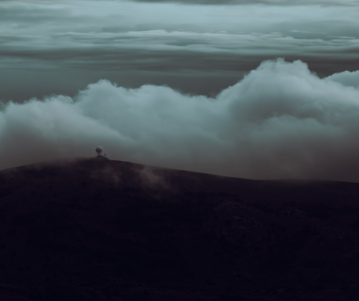 Foggy.

<a href="/Sigma_Japan/">SIGMA Japan</a> <a href="/SigmaFrance/">Sigma France</a> <a href="/SonyAlpha/">Sony | Alpha</a> 

#birds #foggy #rain