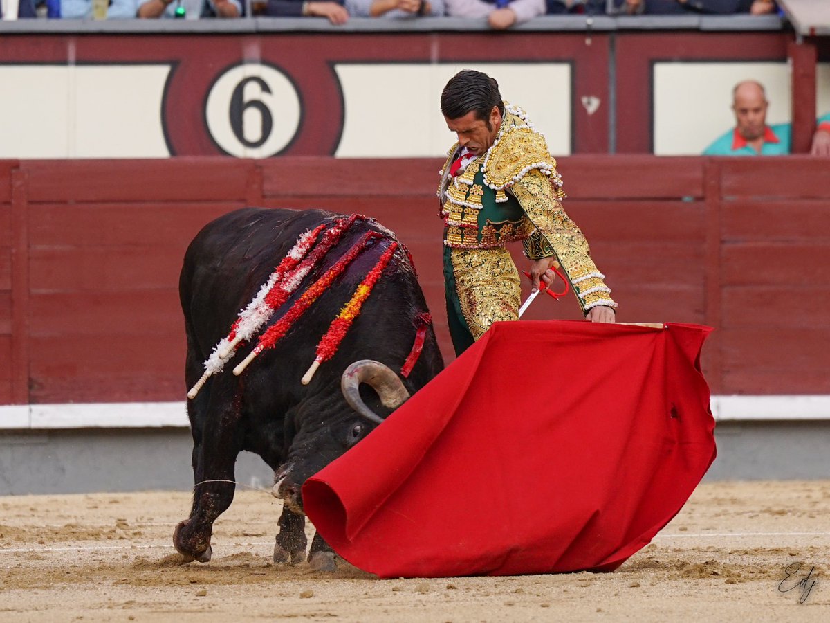 📍|| 𝗠𝗔𝗗𝗥𝗜𝗗 - 2º toro

¡𝟮 𝗢𝗥𝗘𝗝𝗔𝗦!

Faena excelsa de principio a fin, llena de emoción, entrega, temple y clasicismo. 

¡No hay mejor manera de volver a vernos, Madrid!

#EDJ2023 <a href="/LasVentas/">Plaza de Las Ventas</a>