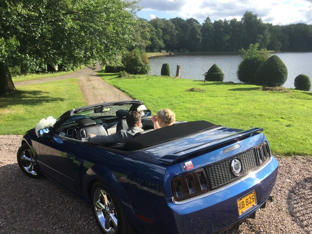 Ford Mustang Wedding tweet media