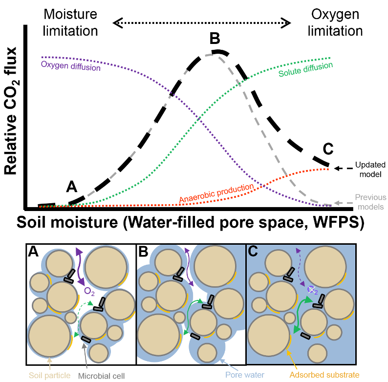 Ecohydrology Research Group tweet media