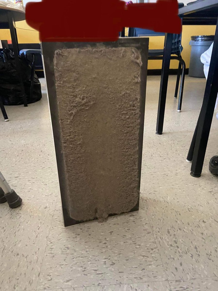 Sabrina (she/her) tweet media