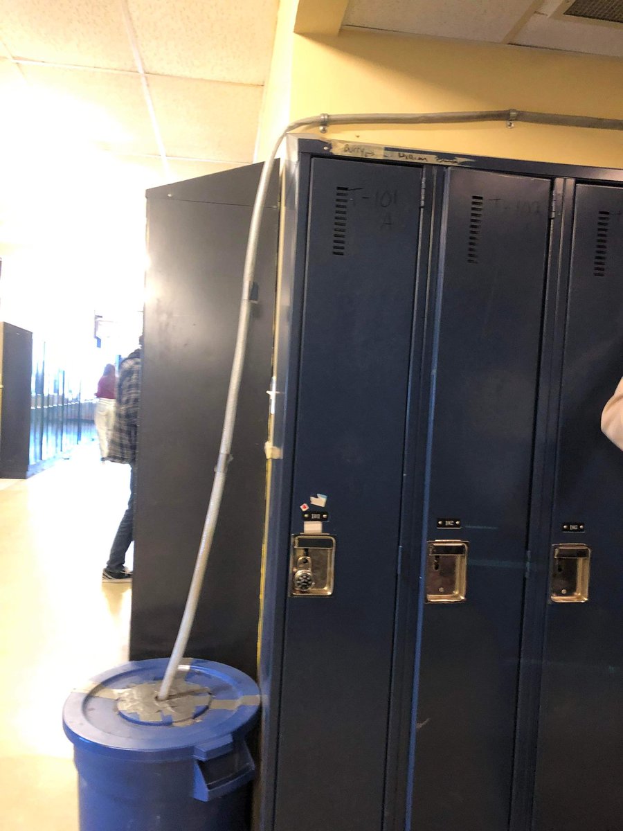 Sabrina (she/her) tweet media