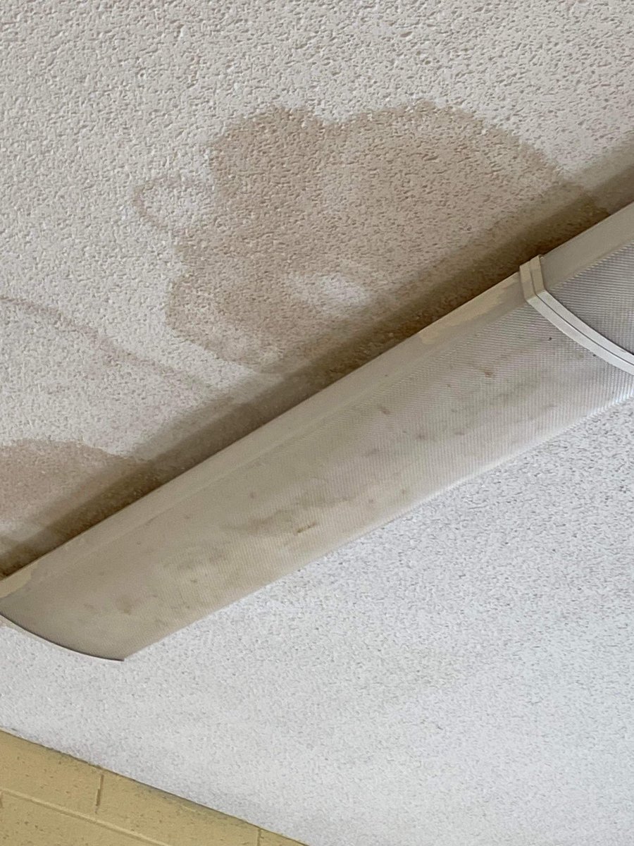 Sabrina (she/her) tweet media