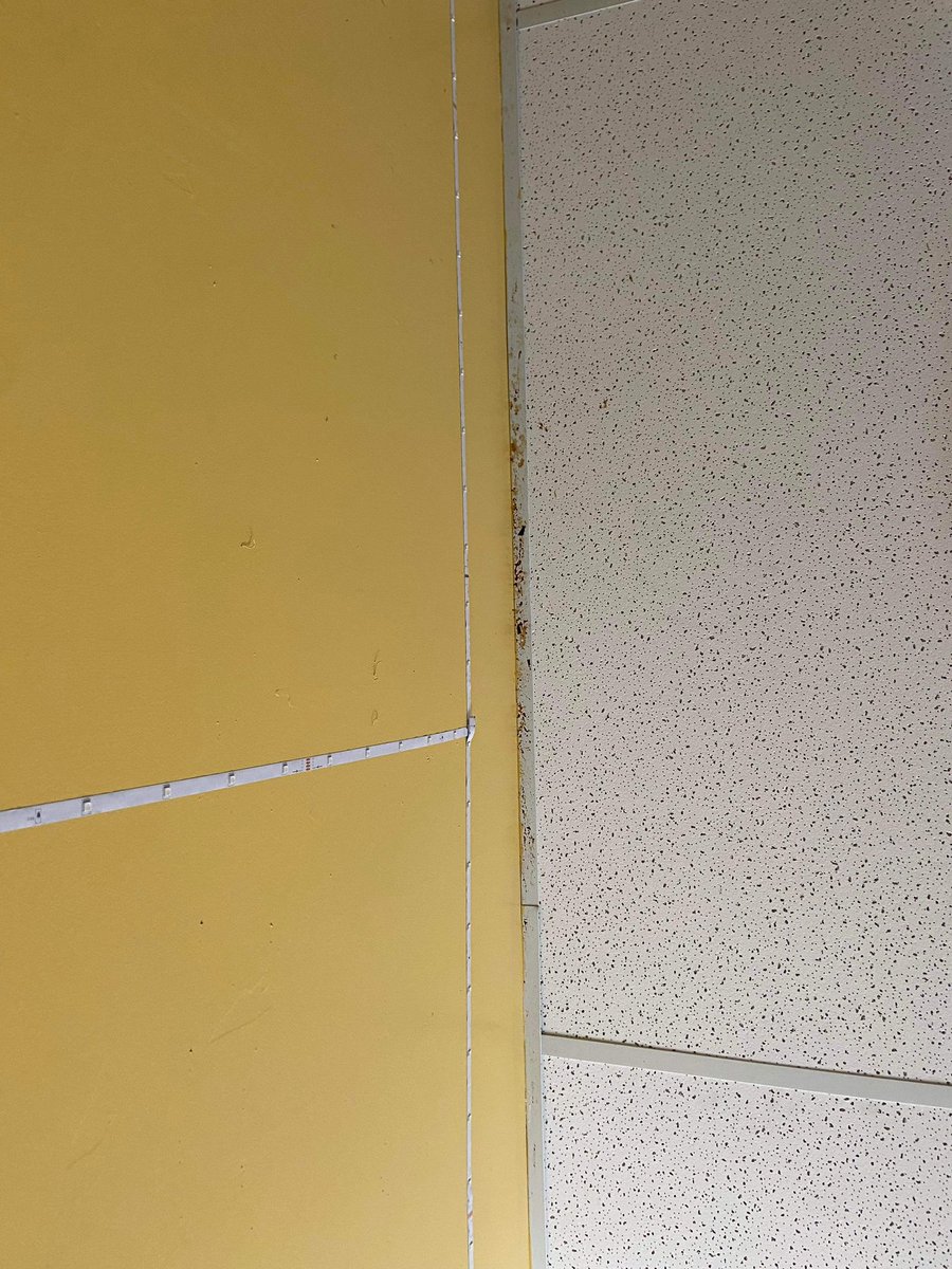 Sabrina (she/her) tweet media