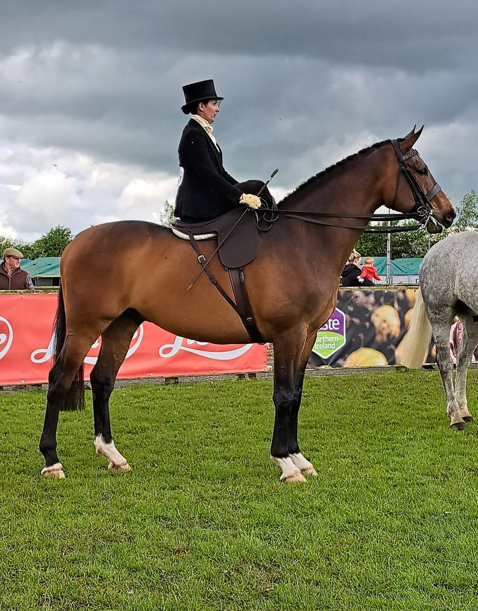 Many many moons ago I first saw <a href="/sidesaddlejen/">Jennifer Payne</a> and she was doing her side saddle thing. Great to see Jen back out again today at @balmoralshow showing them how's its done!! #memories 😍😍