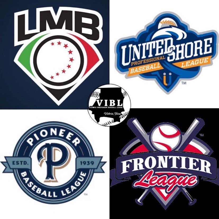 VIBLBaseball tweet picture