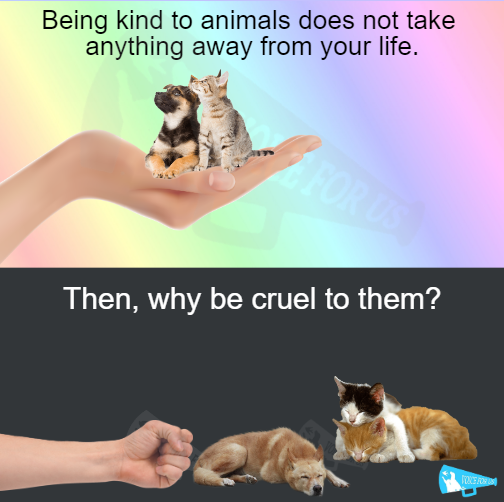 VoiceForUs_'s tweet photo. #animals #kindness #rescue #save #love #care #protect #defend #respect #cherish #appreciation #unselfishness #goodness #comfort #lookafter https://t.co/QGs832SzVB