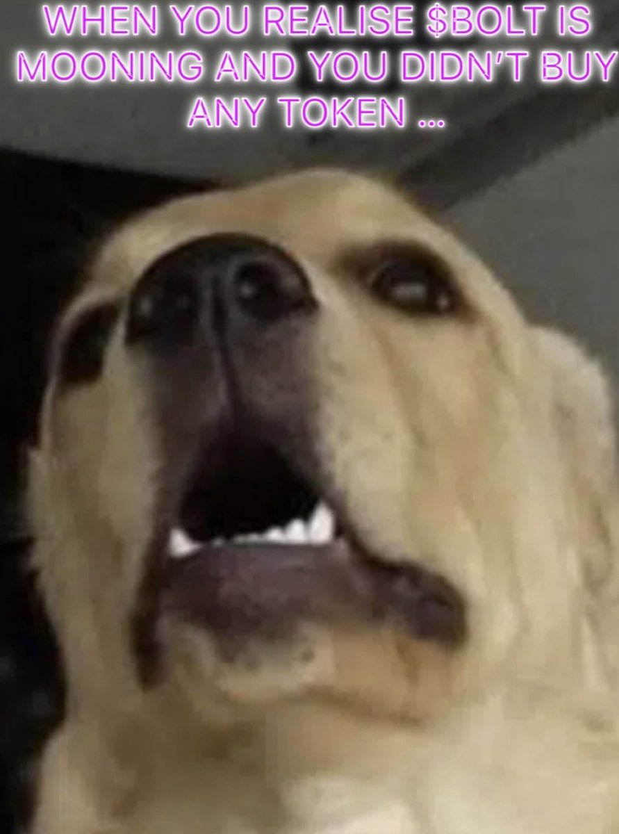 $BOLT #zkSync #meme #airdrop

<a href="/boltcoinzksync/">Bolt | zkSync Meme Coin</a>
Don’t be the last 🚀🚀🤣🤣