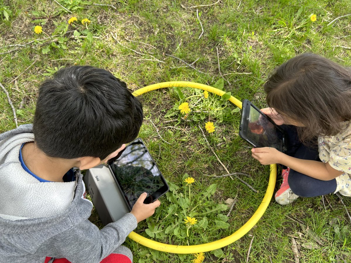 kindyfriends's tweet photo. Kindy friends #lookingclosely Today we experimented with the #iPad camera feature as a magnifying lens & to also document our explorations & wonders to share with friends later. Taking pictures that were in focus became new learning. #curious #capable #competent @ThornwoodPS https://t.co/Qe9QNbyLAX