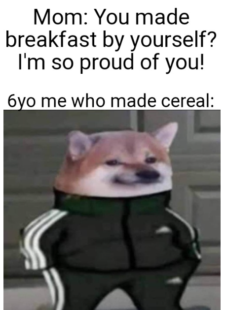 no context doge (@nocontextakim) on Twitter photo 