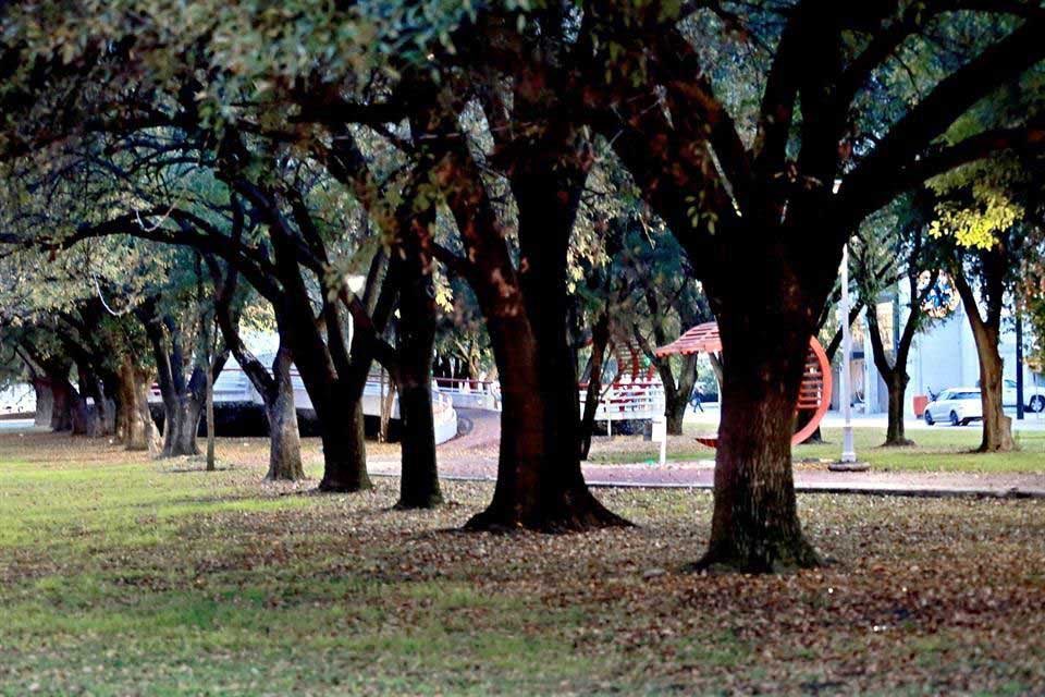 gismendez's tweet photo. Las ordenanzas generales en Monterrey en 1828 decían lo siguiente:

"Las calles y caminos, entradas y salidas del publico, se procurará que estén cómodas, despejadas, sin perjuicio de que se puedan hermosear con fresnos, nogales ú otros árboles útiles puestos en buen orden” https://t.co/S4rJp0DIJ1