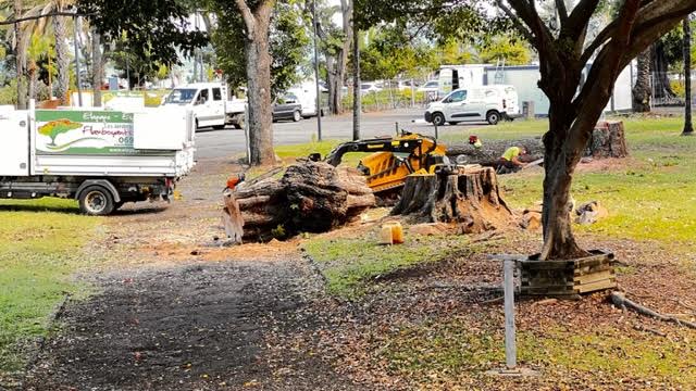 jclvallee1's tweet photo. #LA_REUNION🇫🇷🏝️⚡️Déboulonnage de la statue de #Mahé_de_Labourdonnais. 4 arbres centenaires abattus en début de semaine. C'est ce que le “permis d'aménager” de la mairesse #Bareigts nomme “plantation d'arbres”. Le début d'un massacre écologique ! Et les khmers verts se taisent. https://t.co/0LNkqTGFii