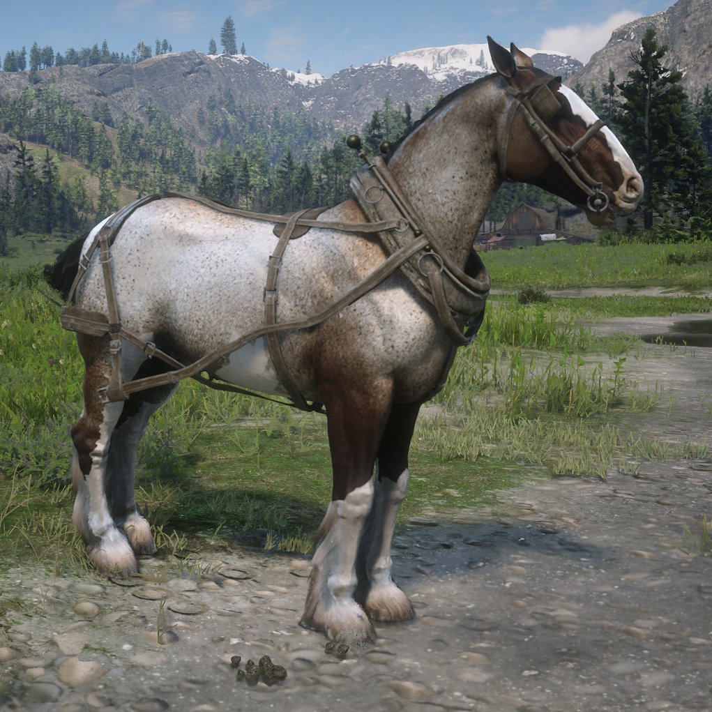 Cam Clow on Twitter "Made a proper Clydesdale in RDR2."