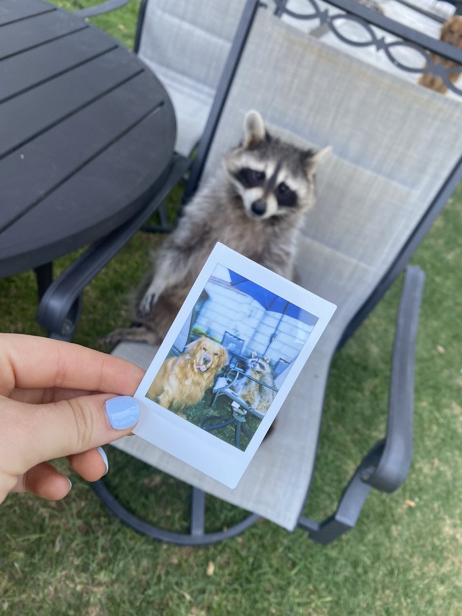 Amo a este par 🐾🤍