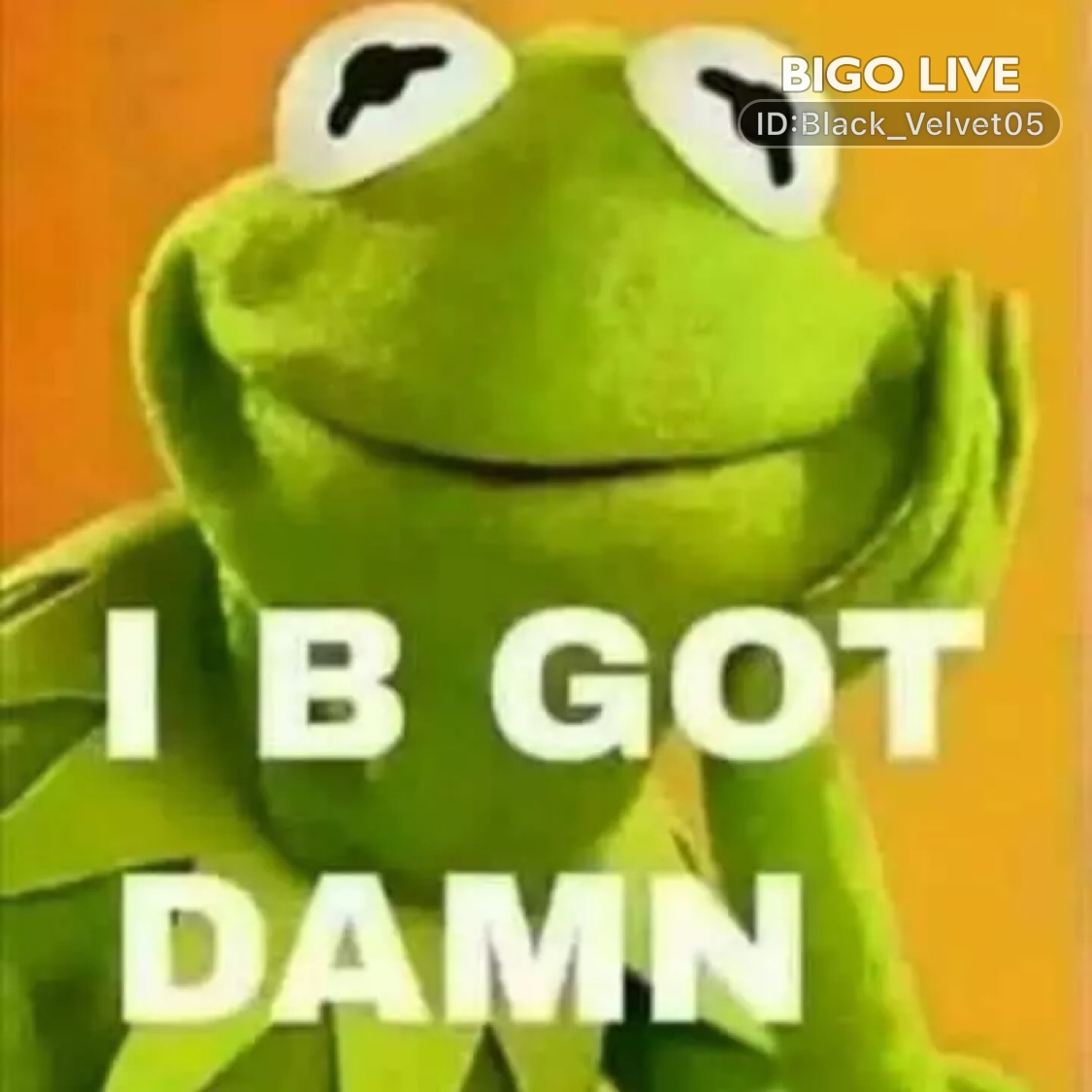 MsGenie24's tweet photo. Come and see BLACK VELVET streaming live on #BIGOLIVE and make new friends! 
https://t.co/0b6p9eoNTJ https://t.co/u38snHqv0o